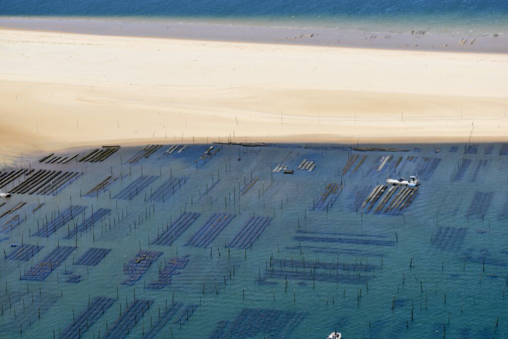 arcachon basin oyster park